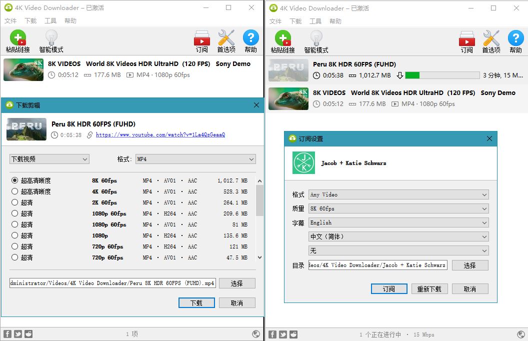 油管高清视频下载利器4K Video Downloader v4.20.4-ASP300源码